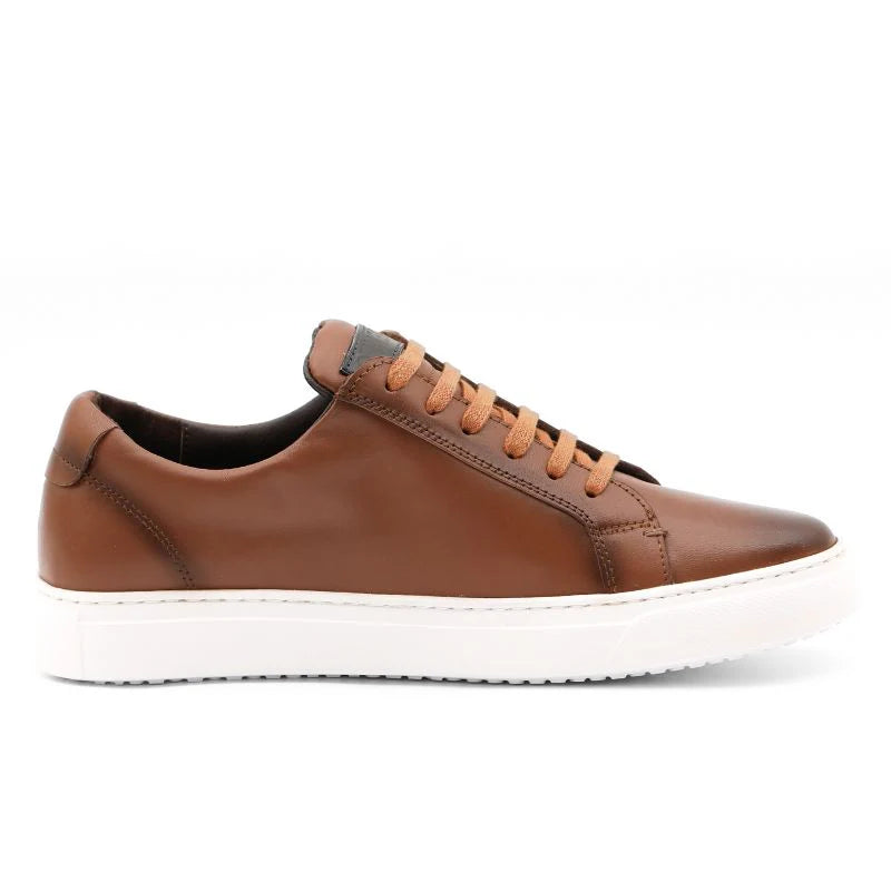 Oslo - Camel Leather Sneakers